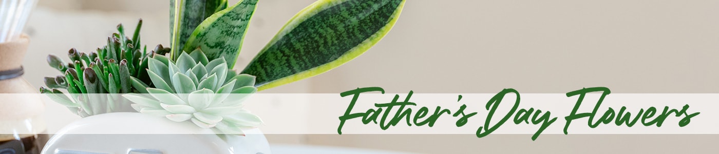Send Father's Day Flowers. Father's Day Flowers Delivery